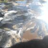 VID_20260426_081205