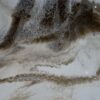 IMG_20261002_143218_419